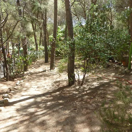 Pinus Village 度假居