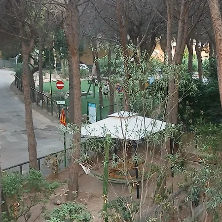 Pinus Village *