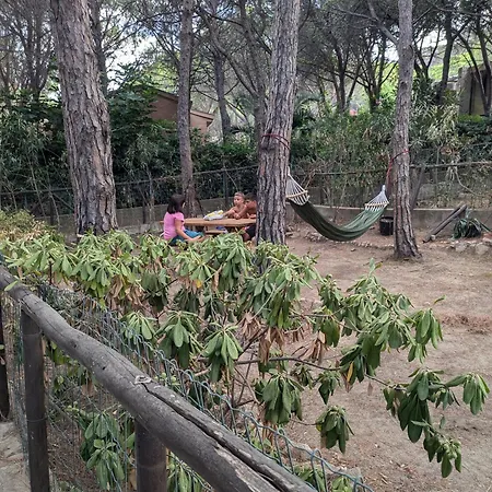 Pinus Village 度假居 福特村
